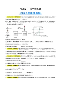 专题24 化学计算题（全国通用）2025年中考化学真题分类汇编（含答案解析）