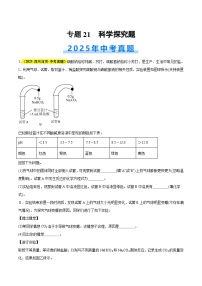 专题21 科学探究题（全国通用）2025年中考化学真题分类汇编（含答案解析）