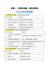 专题17 物质的检验、鉴别和除杂（全国通用）2025年中考化学真题分类汇编（含答案解析）