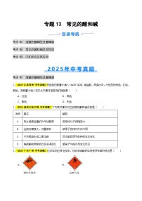 专题13 常见的酸和碱（全国通用）2025年中考化学真题分类汇编（含答案解析）