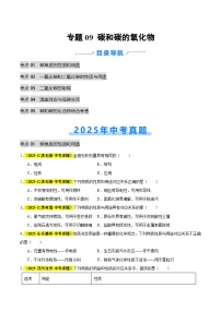 专题09 碳和碳的氧化物（全国通用）2025年中考化学真题分类汇编（含答案解析）