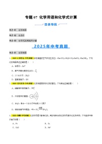 专题07 化学用语和化学式计算（全国通用）2025年中考化学真题分类汇编（含答案解析）编