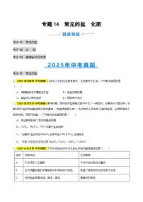 专题14 常见的盐 化肥（全国通用）2025年中考化学真题分类汇编（含答案解析）