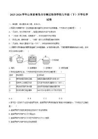 2025-2026学年山东省青岛市市南区海信学校九年级（下）开学化学试卷-自定义类型