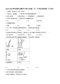 2025-2026学年重庆市南开中学九年级（下）月考化学试卷（3月份）-自定义类型