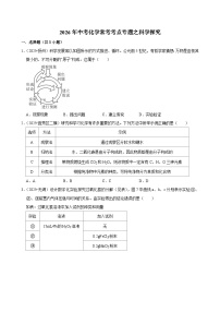 2026年中考化学二轮专题考点复习-科学探究试题（含答案）