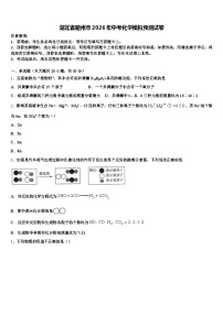 湖北省随州市2026年中考化学模拟预测试卷（含答案解析）