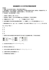 湖北省随州市2026年中考化学模拟预测试卷（含答案解析）