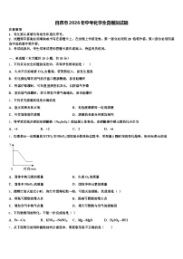自贡市2026年中考化学全真模拟试题（含答案解析）