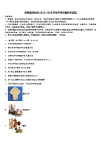 陕西省宝鸡市2025-2026学年中考五模化学试题（含答案解析）