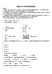 青海省2026年中考化学押题试卷（含答案解析）