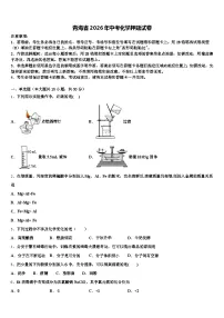 青海省2026年中考化学押题试卷（含答案解析）