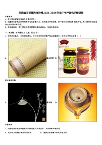 青海省玉树藏族自治州2025-2026学年中考押题化学预测卷（含答案解析）