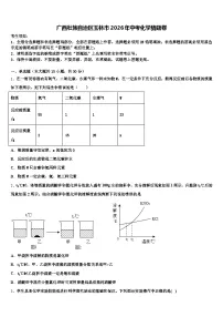 广西壮族自治区玉林市2026年中考化学猜题卷（含答案解析）