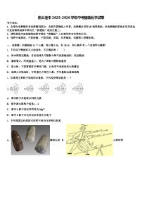 连云港市2025-2026学年中考猜题化学试卷（含答案解析）