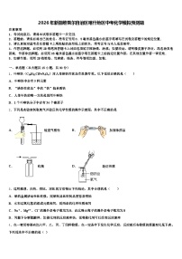 2026年新疆维吾尔自治区喀什地区中考化学模拟预测题（含答案解析）