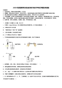 2026年新疆维吾尔自治区喀什地区中考化学模拟预测题（含答案解析）