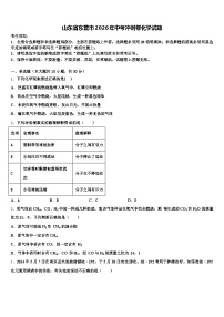 山东省东营市2026年中考冲刺卷化学试题（含答案解析）