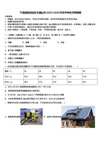 宁夏回族自治区石嘴山市2025-2026学年中考化学押题卷（含答案解析）