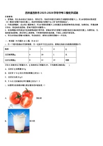 吉林省吉林市2025-2026学年中考三模化学试题（含答案解析）