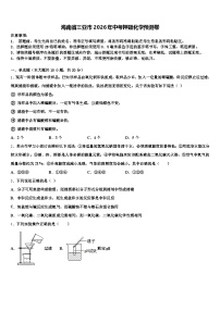 海南省三亚市2026年中考押题化学预测卷（含答案解析）
