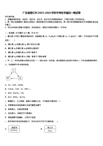 广东省阳江市2025-2026学年中考化学最后一模试卷（含答案解析）