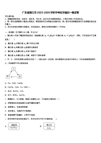 广东省阳江市2025-2026学年中考化学最后一模试卷（含答案解析）