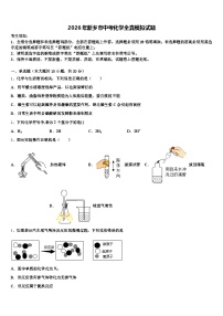 2026年新乡市中考化学全真模拟试题（含答案解析）