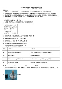 2026年武汉市中考联考化学试题（含答案解析）