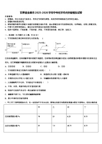 甘肃省金昌市2025-2026学年中考化学对点突破模拟试卷（含答案解析）