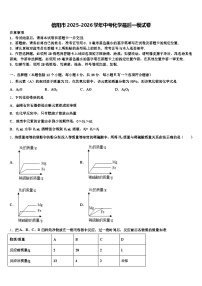 信阳市2025-2026学年中考化学最后一模试卷（含答案解析）