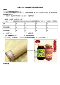 济南市2026年中考化学适应性模拟试题（含答案解析）