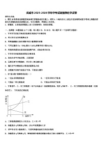 武威市2025-2026学年中考试题猜想化学试卷（含答案解析）