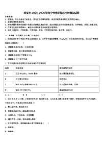 延安市2025-2026学年中考化学最后冲刺模拟试卷（含答案解析）