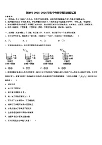 铜陵市2025-2026学年中考化学模拟精编试卷（含答案解析）