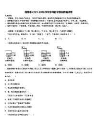 铜陵市2025-2026学年中考化学模拟精编试卷（含答案解析）