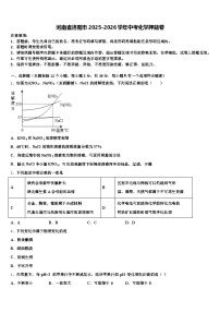 河南省洛阳市2025-2026学年中考化学押题卷（含答案解析）