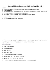 云南省迪庆藏族自治州2025-2026学年中考化学考试模拟冲刺卷（含答案解析）