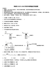 鄂州市2025-2026学年中考押题化学预测卷（含答案解析）