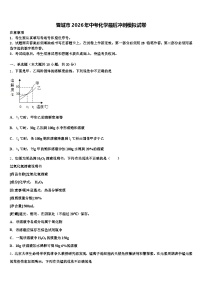 晋城市2026年中考化学最后冲刺模拟试卷（含答案解析）