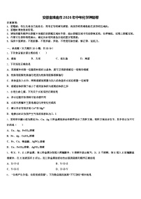 安徽省淮南市2026年中考化学押题卷（含答案解析）