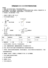 甘肃省武威市2025-2026学年中考联考化学试题（含答案解析）