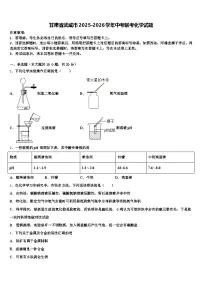 甘肃省武威市2025-2026学年中考联考化学试题（含答案解析）
