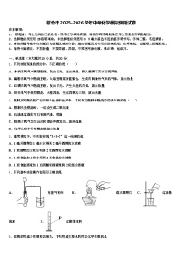 临沧市2025-2026学年中考化学模拟预测试卷（含答案解析）