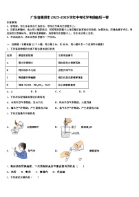 广东省惠州市2025-2026学年中考化学考前最后一卷（含答案解析）