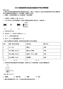 2026年新疆维吾尔自治区和田地区中考化学押题卷（含答案解析）