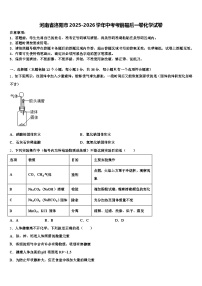 河南省洛阳市2025-2026学年中考考前最后一卷化学试卷（含答案解析）