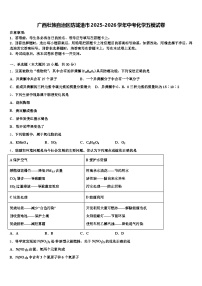 广西壮族自治区防城港市2025-2026学年中考化学五模试卷（含答案解析）