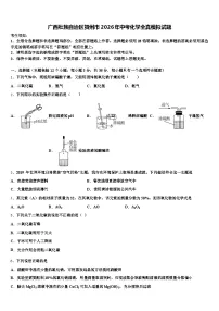 广西壮族自治区贺州市2026年中考化学全真模拟试题（含答案解析）