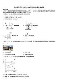 贵州省毕节市2025-2026学年中考一模化学试题（含答案解析）